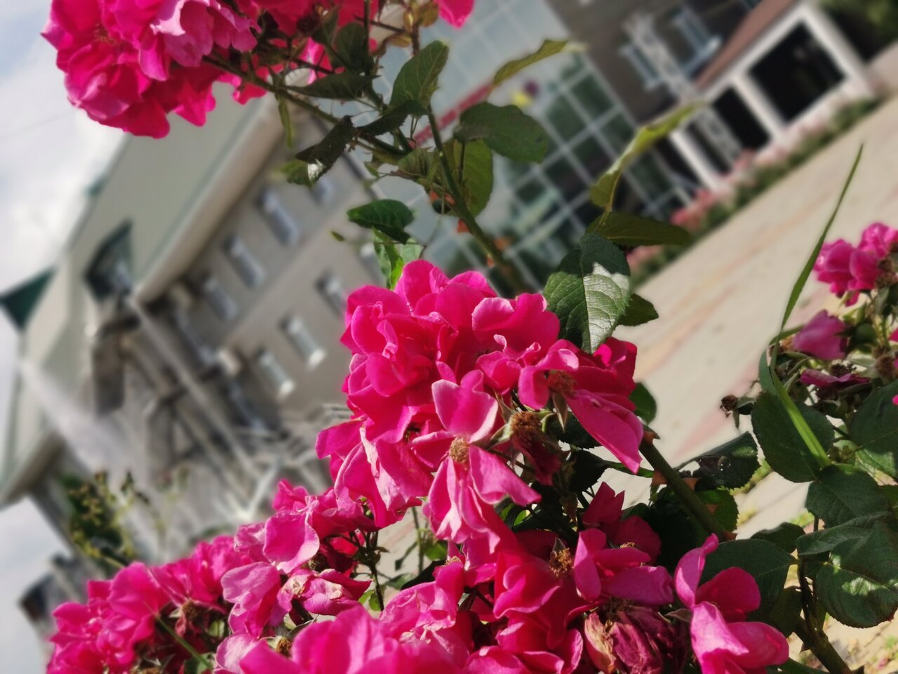 Парк-Отель Уют Славянск-на-Кубани-123